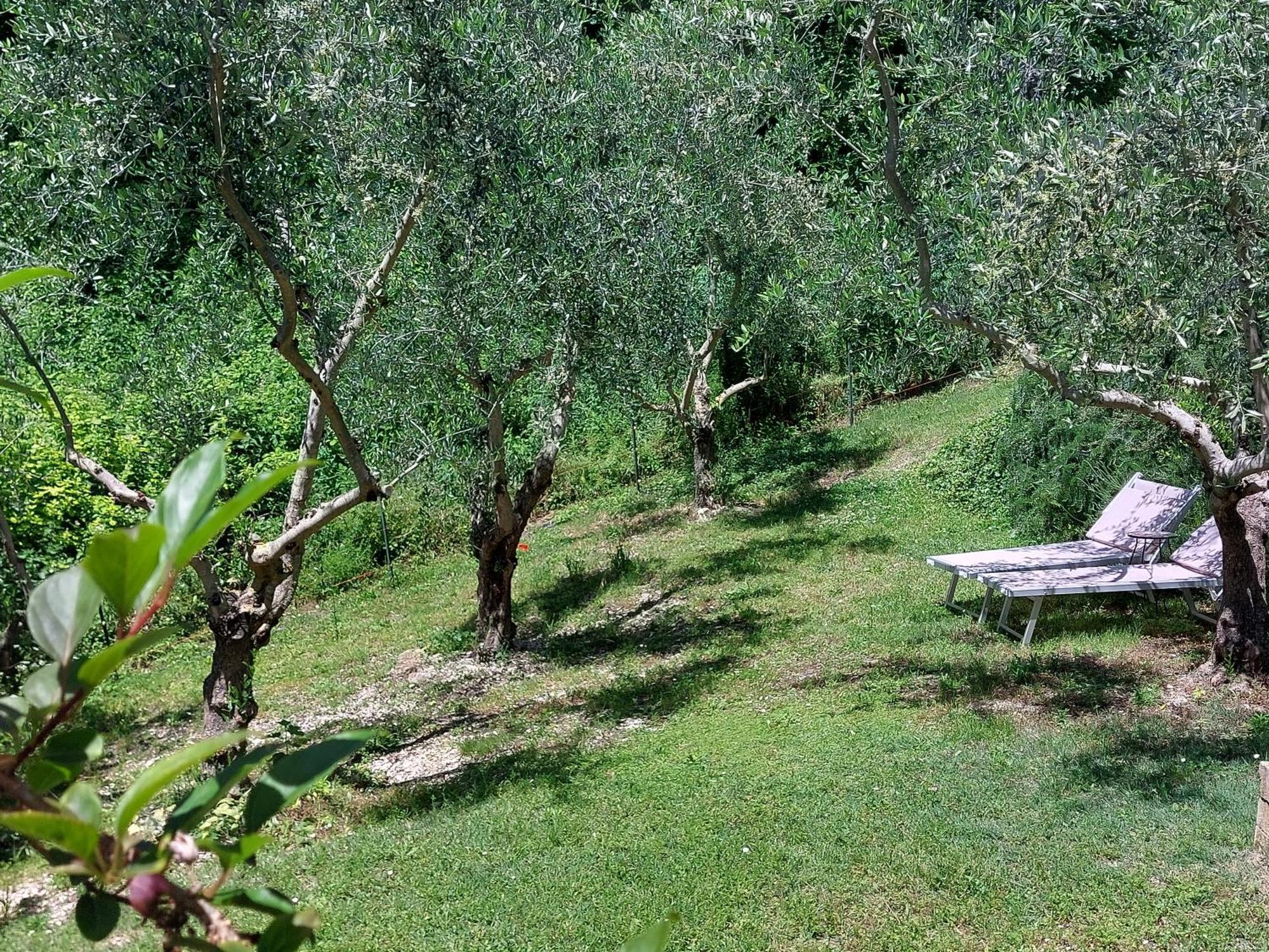 B&B Fonte Fresca Фабриано Экстерьер фото